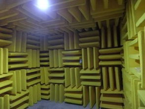 有人在背后看你時,真的會感覺到嗎 為什么