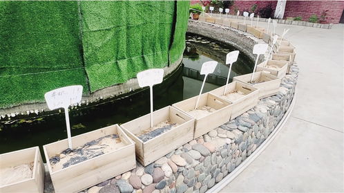 如意新甘肅 臻品隴字號(hào)蘭州金土地塑料制品 科技賦能讓農(nóng)用地膜升級(jí)