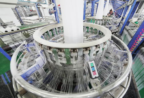 河北灤南 高技術產業賦能高質量發展