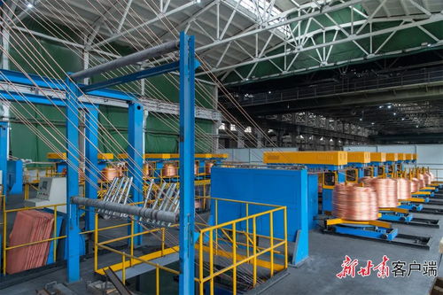 以奮進之筆書寫春天答卷 我省廣大企業以飽滿干勁開啟新春首個工作日