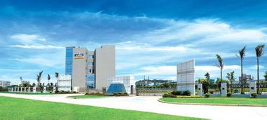 a股勁爆消息來襲,節(jié)后一類股將喜迎暴漲